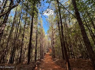 1 Highway 43, Carthage, MS 39051