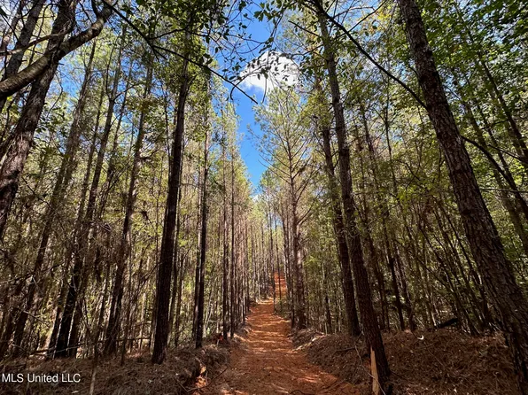 1 Highway 43, Carthage, MS 39051