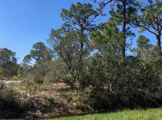 544 Cape Rd NW, Lake Placid, FL 33852