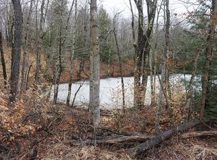 359 Blueberry Hill Rd, Middleburgh, NY 12122