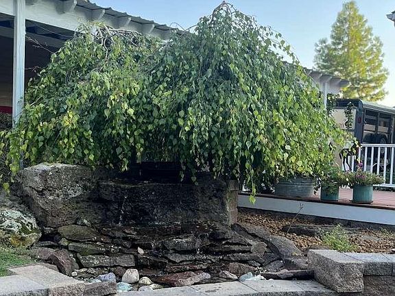 4th image of 1132 W Ashwood Ct