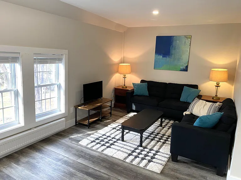 Furnished living room