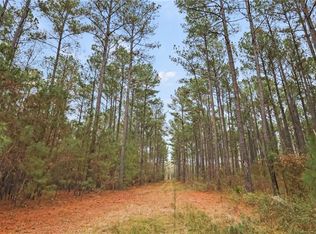 935 Hunter Rd #3, Ellaville, GA 31806