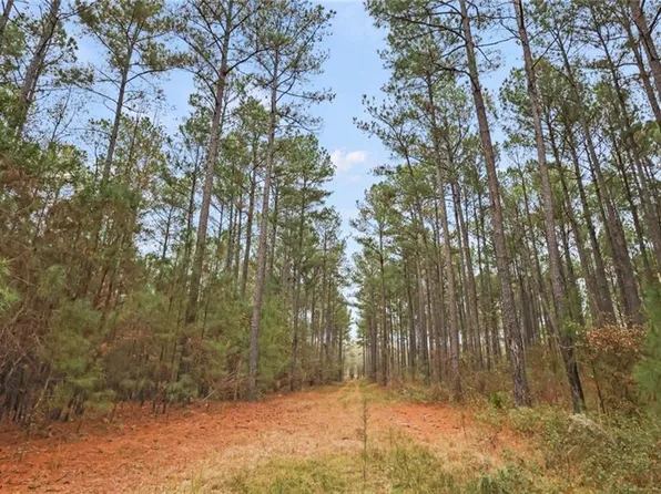 935 Hunter Rd #3, Ellaville, GA 31806