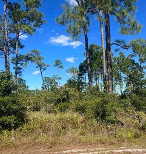 16212 Narwhal Dr, Perdido Key, FL, 32507