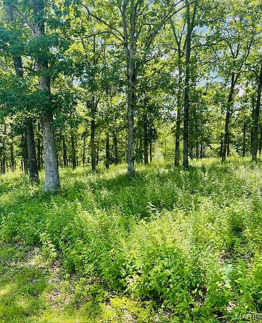 1st image of 0 Krausetown Rd