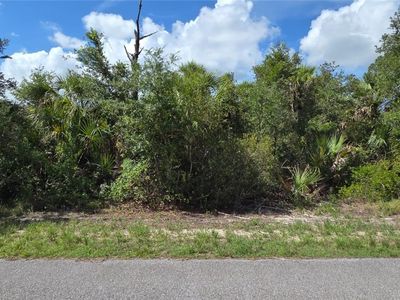 14431 Fuchsia Ave, Pt Charlotte, FL, 33953