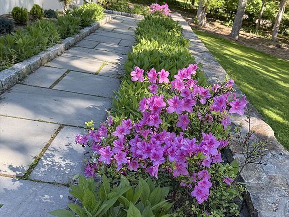 Flower lined slate path