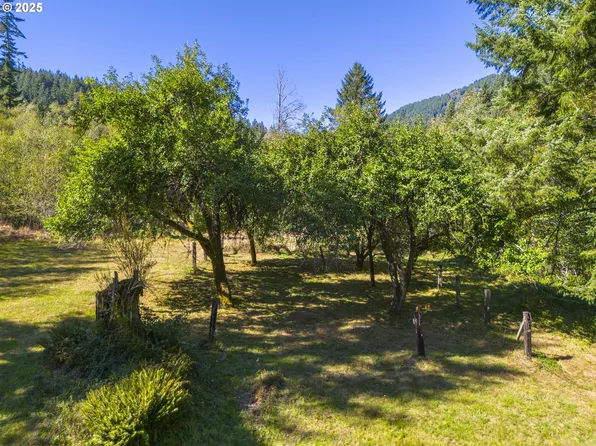 Tin Shack Rd, Nehalem, OR 97131