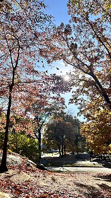 Rented by Keller Williams NYC | media 25