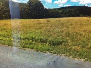 1097 Perry Rd, Deposit, NY 13730