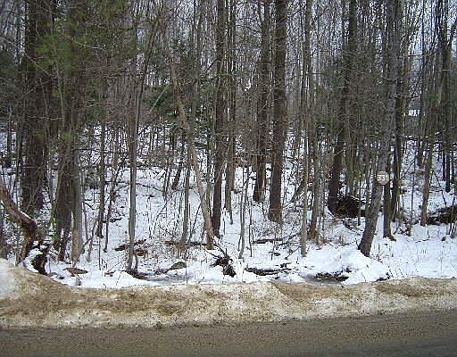 1st image of East Hyerdale Drive