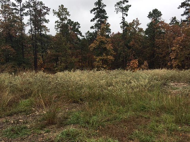 1st image of Tbd Lake Village Dr