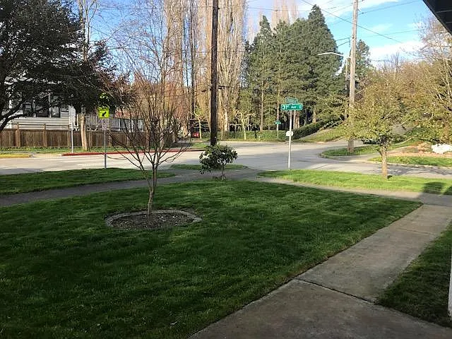 Surrounding area of the home