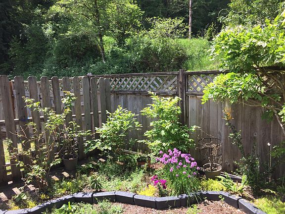 Fruit trees and berry bushes too.