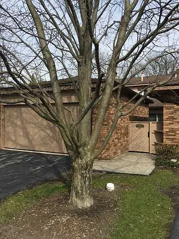 1225 Indian Trail Rd #6C photo 1