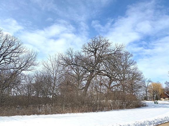 3rd image of 11398 Brighton Oaks Dr Lot 13