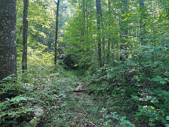 4th image of 75 Rj Mountain View Drive