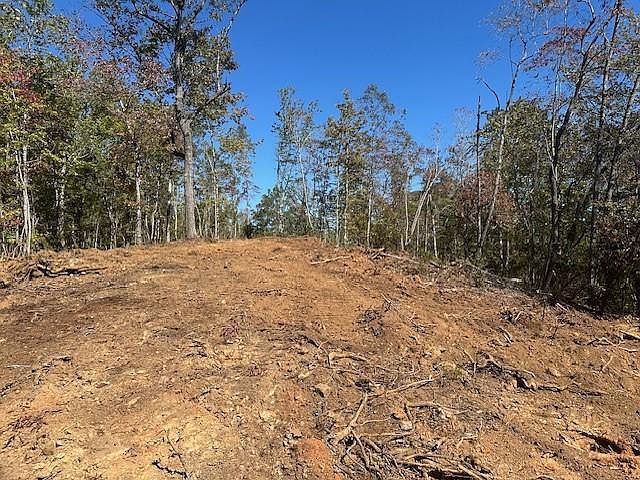 1st image of 3.71 Yancy Dr #5