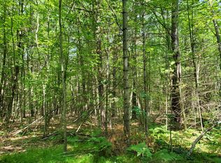 Lots 5 & 6 Doyle Trl, Houghton Lake, MI 48629