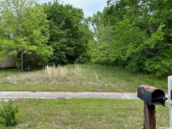 TBD Emanuel St., Georgetown, SC 29440