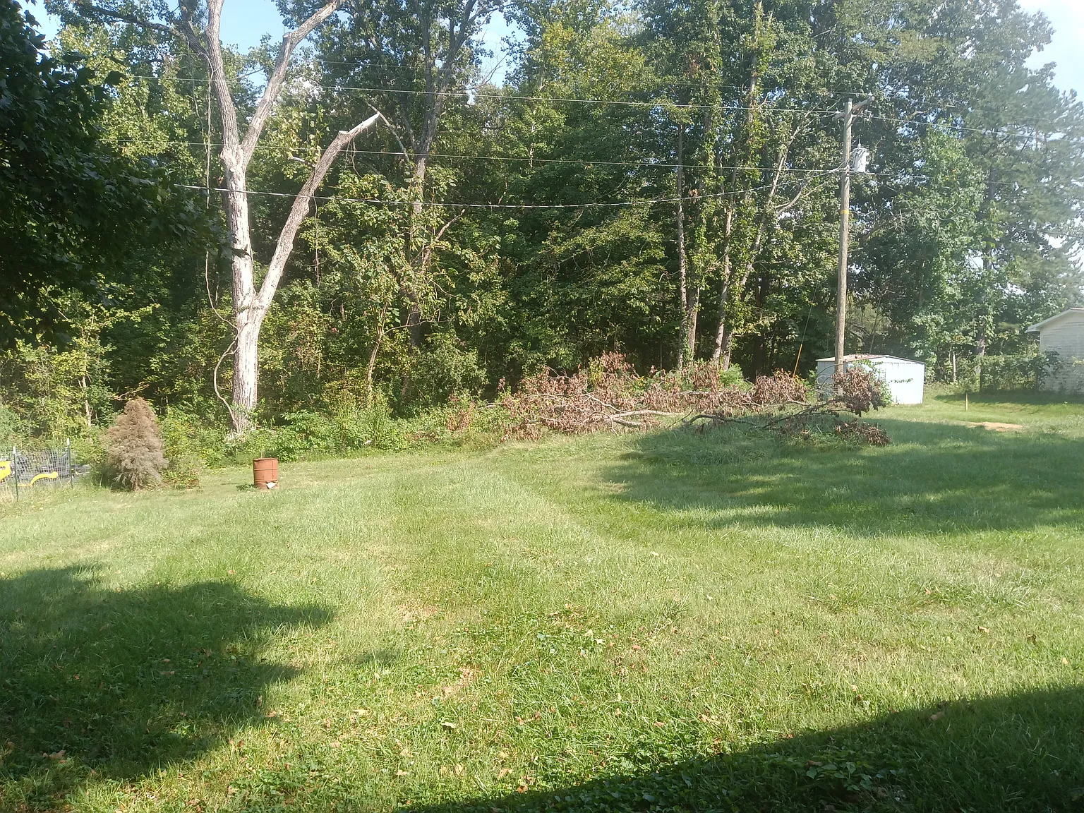 3 bed, 1012 sqft, $1,600 — Photo 3