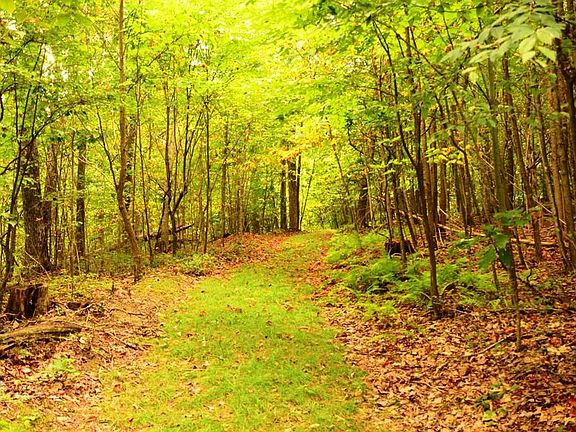 4th image of 7100 Slab Camp Rd