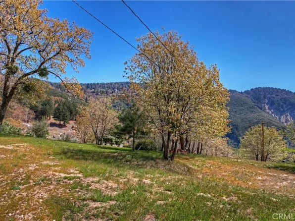 25 Pine Cone Curv #D, Running Springs, CA 92382