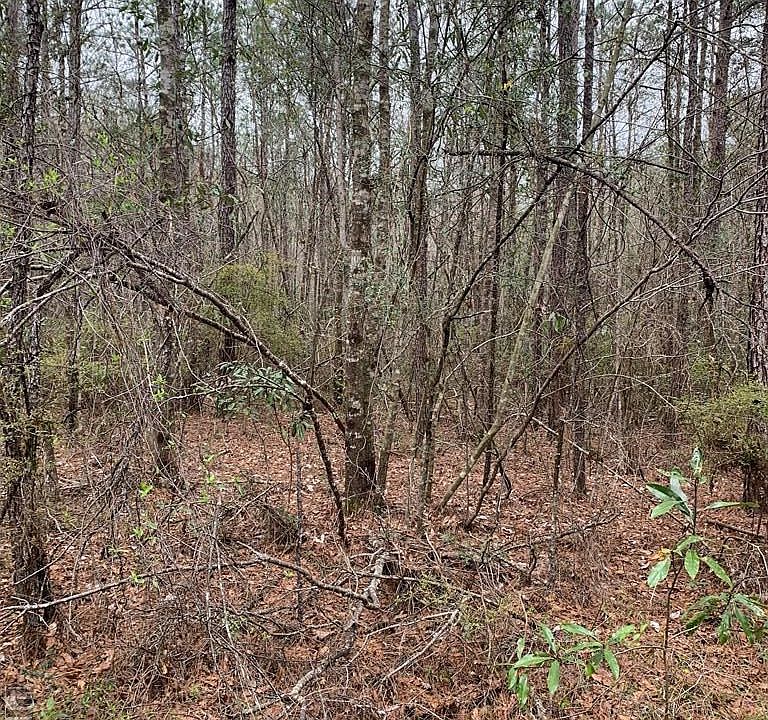 2nd image of 0 John Amacker Rd