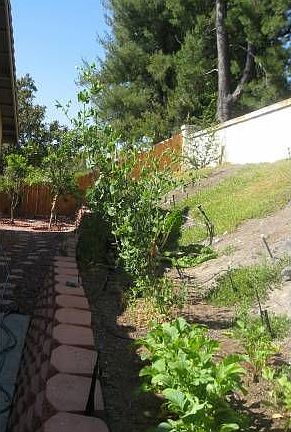 Raised Bed Garden