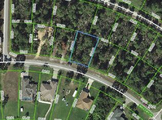 3129 Tanglewylde Ave, Lake Placid, FL 33852