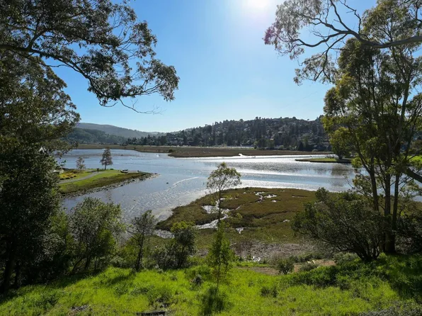 80 Eucalyptus Knoll Street, Mill Valley, CA 94941