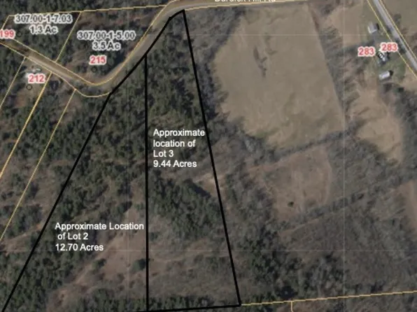 LOT 2 Burdick Hill Rd Lot 2, Otego, NY 13825