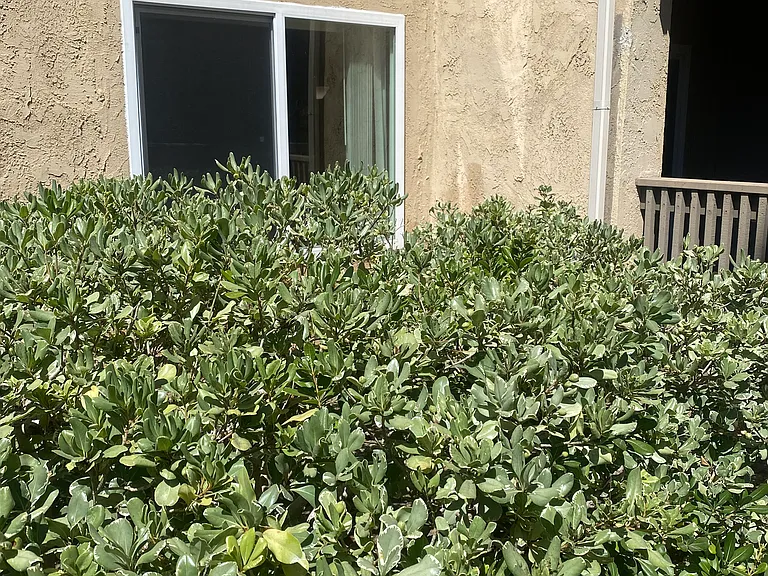 8581 Villa La Jolla Dr #M — Photo 23