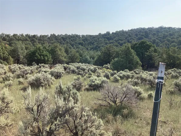 Unit #4-lot 5-D, Tierra Amarilla, NM 87575