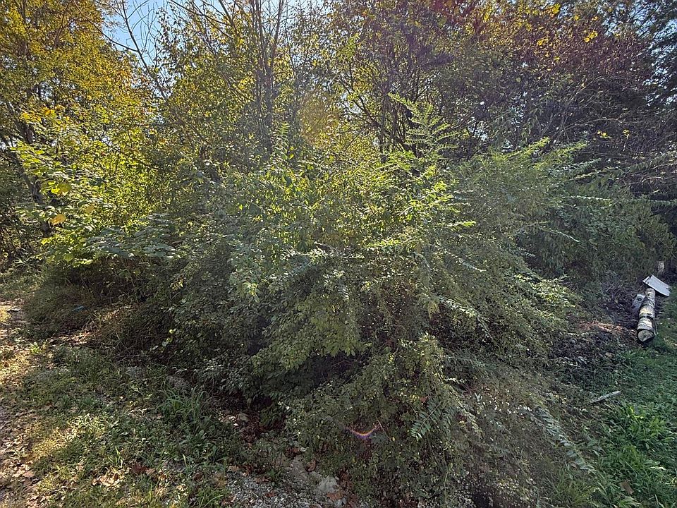 1st image of Tbd 3rd Street