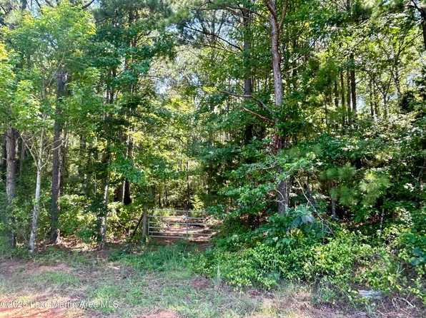 0 Leander Rd, Daviston, AL 36256