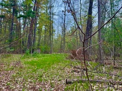 W Branch Dr, Gladwin, MI, 48624