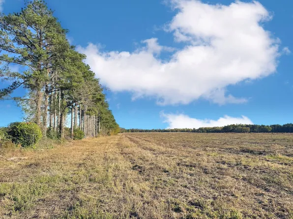 Mike Rogers Farm Rd Lot Wp05b, Clio, SC 29525