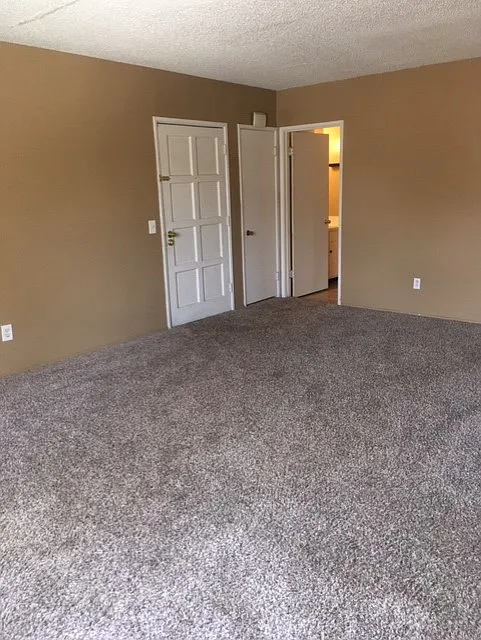 1 bed, $1,550 — Photo 3