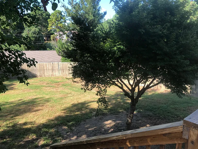 983 Birch Ct — Photo 17