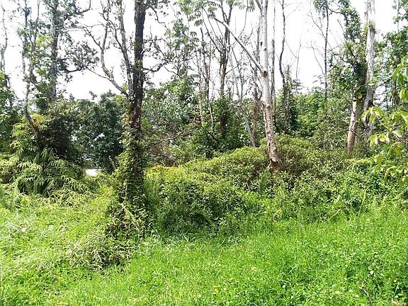 5th image of Punawai St Lot 12
