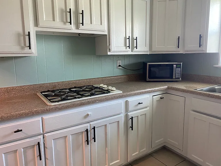 821 Roosevelt St — Photo 16