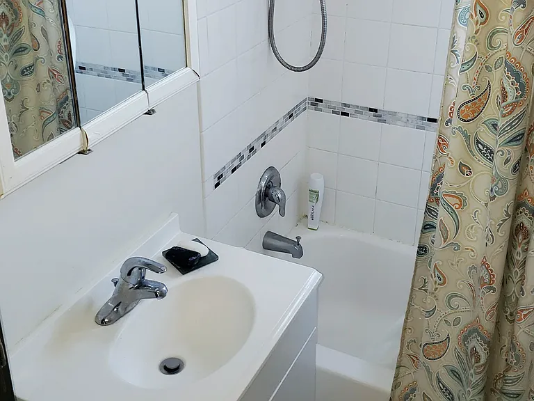 728 W Roscoe St #3N — Photo 4