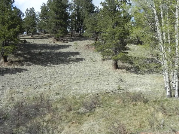 1699 Monarch Drive LOT 165, Cripple Creek, CO 80813