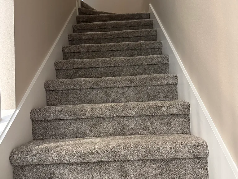 new carpet installed and freshly painted