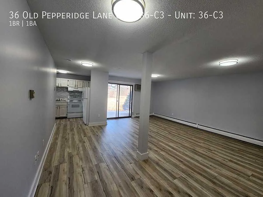 1 bed, $1,950 — Photo 4
