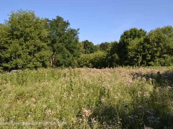 0 Edgar Rd, Leslie, MI 49251