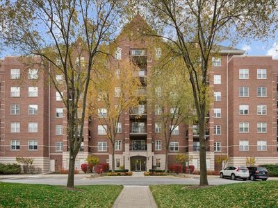 440 W Mahogany Ct Unit 203, Palatine, IL, 60067