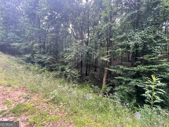 190 Hardwood Ln, Carlton, GA 30627